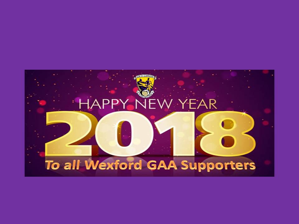 A Happy Wexford GAA New Year to all our model Army supporters