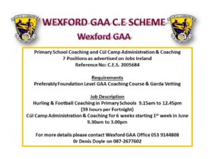 Wexford GAA Coaching positions ad