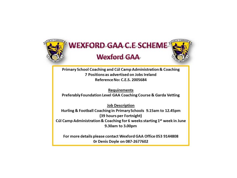 Wexford GAA Seeking Coaching Positions for Primary Schools