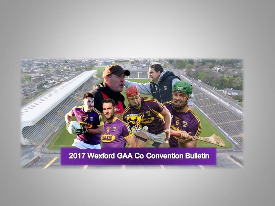 Wexford GAA Co Board 2017 Convention Bulletin