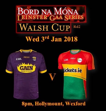 Bord na Mona Walsh Cup action starts this Wednesday night for Wexford Senior Hurlers