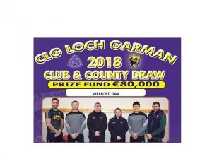The Wexford GAA Club & County Development Draw returns for 2018