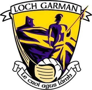 Allianz Hurling League Quarter Final Wexford v Galway postponed and Refixed for tomorrow Monday pending further inspection today at 5pm