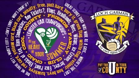 Ticket sales for Wexford’s Forthcoming Hurling & Football Championship Games