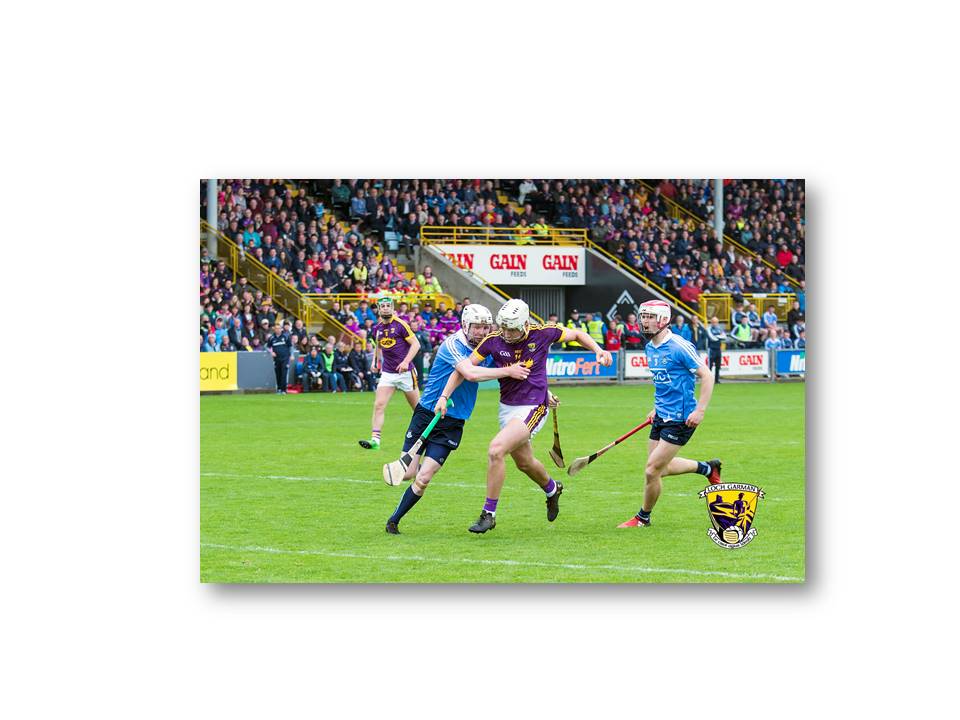 Rory stars in hurlers’ thrilling fight-back, Wexford 0-22 Dublin 2-14