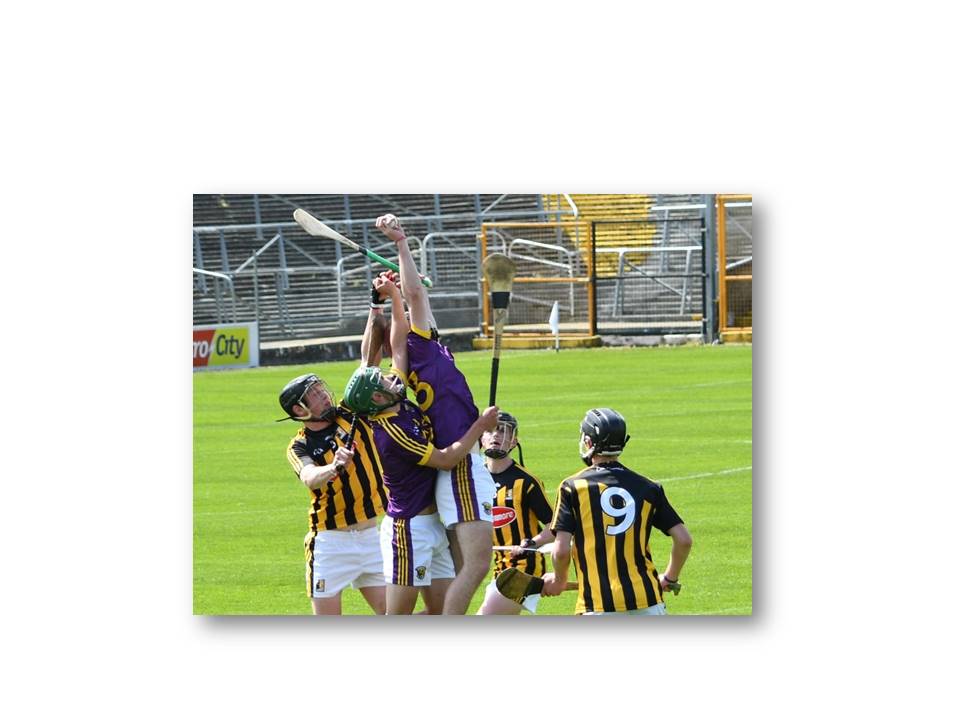 Promising start undone by Cats,  Kilkenny 3-21 Wexford 1-12
