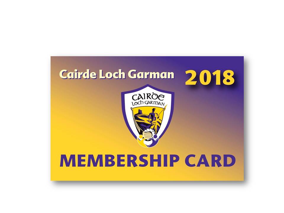Tickets exclusively available for purchase for all Cairde Loch Garman members for Wexford V Offaly from today