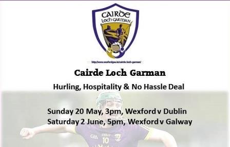 Cairde Loch Garman Hurling and Hospitality double deal : Book N