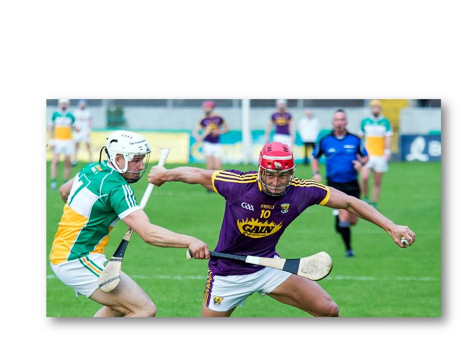 Chin celebrates net gain in runaway victory  Wexford 5-24 Offaly 2-9,  by Ronan Fagan