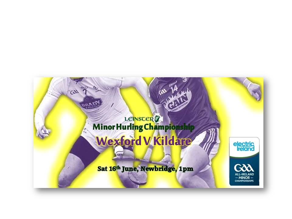 Wexford Face Kildare this Sat 16th In the Electric Ireland Leinster Minor Hurling Quarter Final, 1pm Newbridge