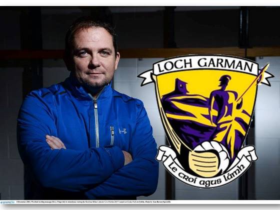 Davy Fitzgerald Has committed to continue his role as Wexford Senior Hurling Manager for 2019