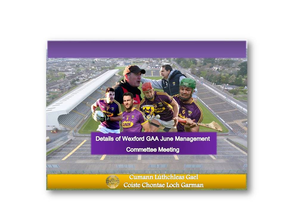 Full Details of Wexford GAA June Management Committee Meeting
