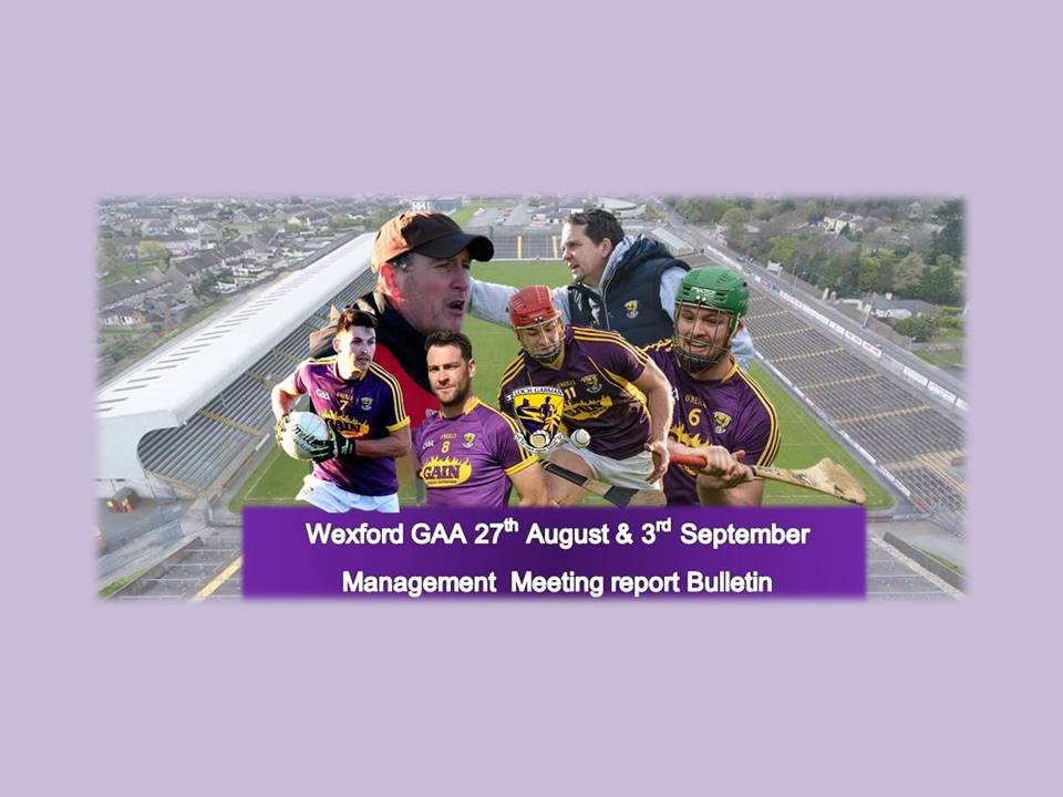 Wexford GAA Management Committee: Meetings held on 27 August and 3 September 2018