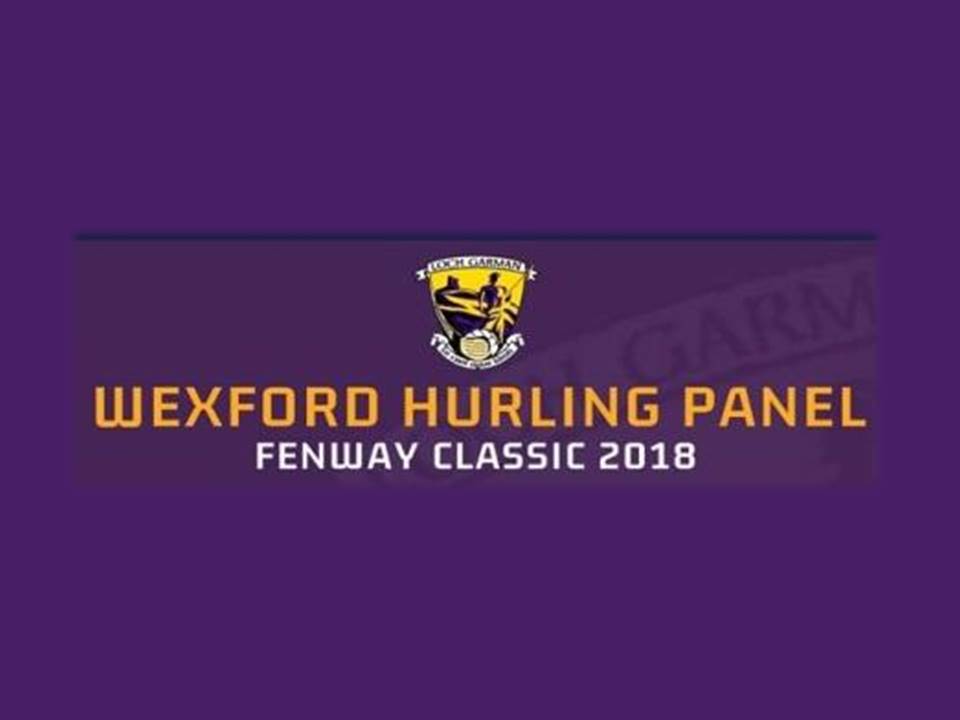 Wexford Senior Hurling Panel named for Iconic Fenway Park Boston Super 11s