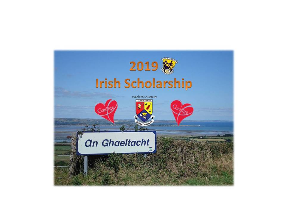 2019 Wexford GAA Irish Scholarship scheme