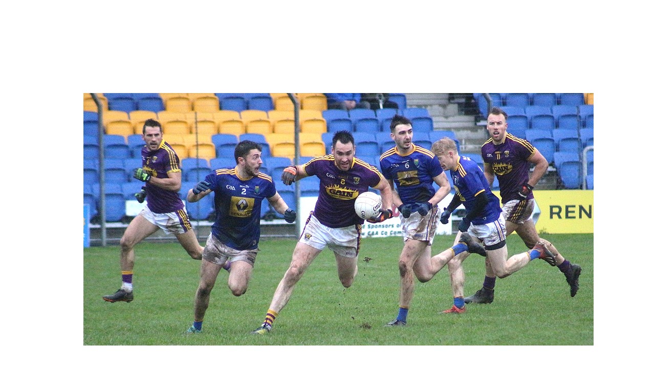 Wexford Senior Footballers put in a big performance against Wicklow