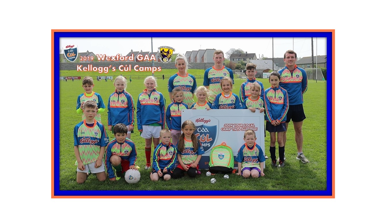 Wexford Launch their 2019 Kellogg’s Cúl Camps, Sign up now to look forward to a fun GAA Summer