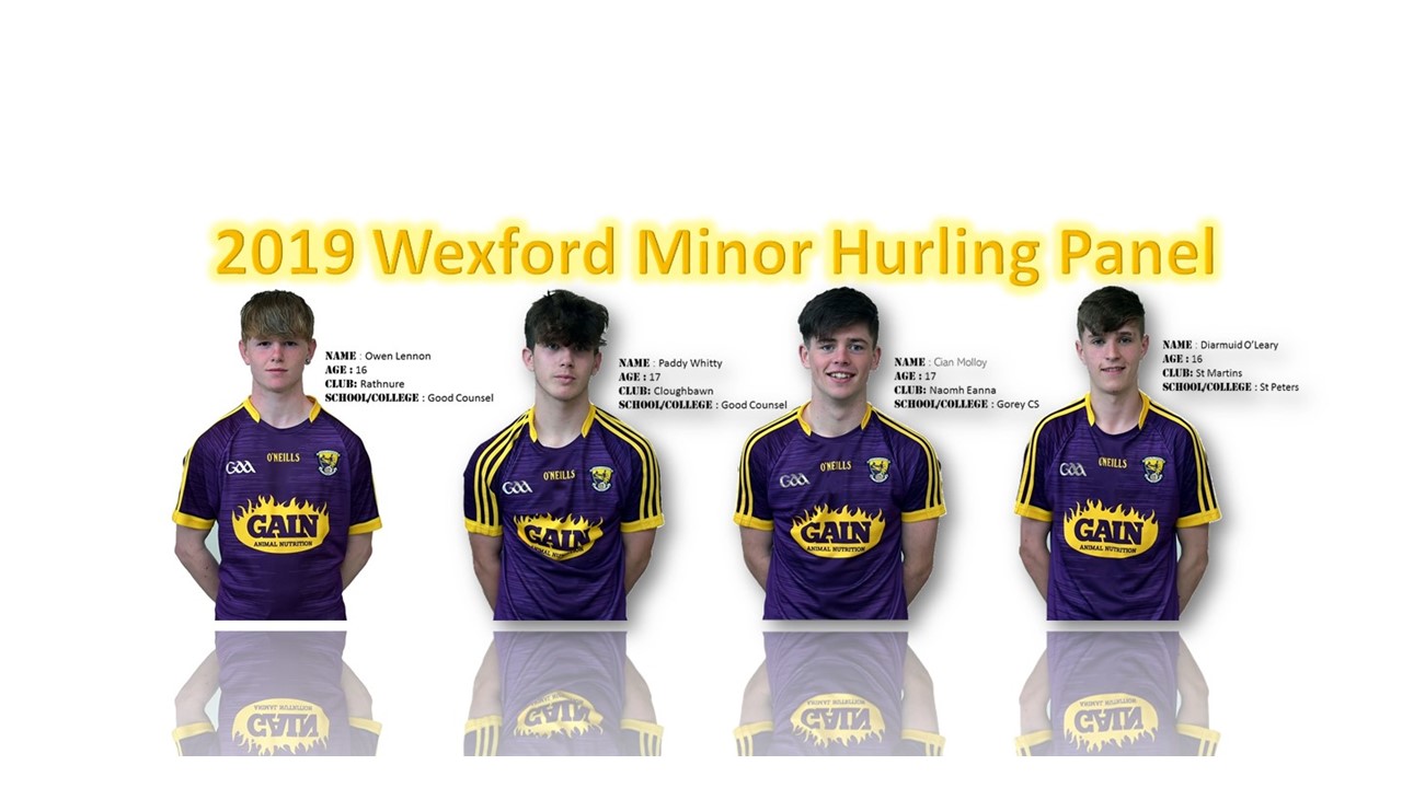 Ready and waiting for Throw In, Meet The 2019 Wexford Minor Hurling Panel