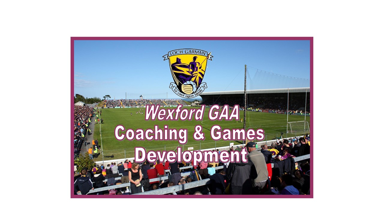 Be a part of a great team, Wexford GAA Now recruiting for Games Promotion Officer