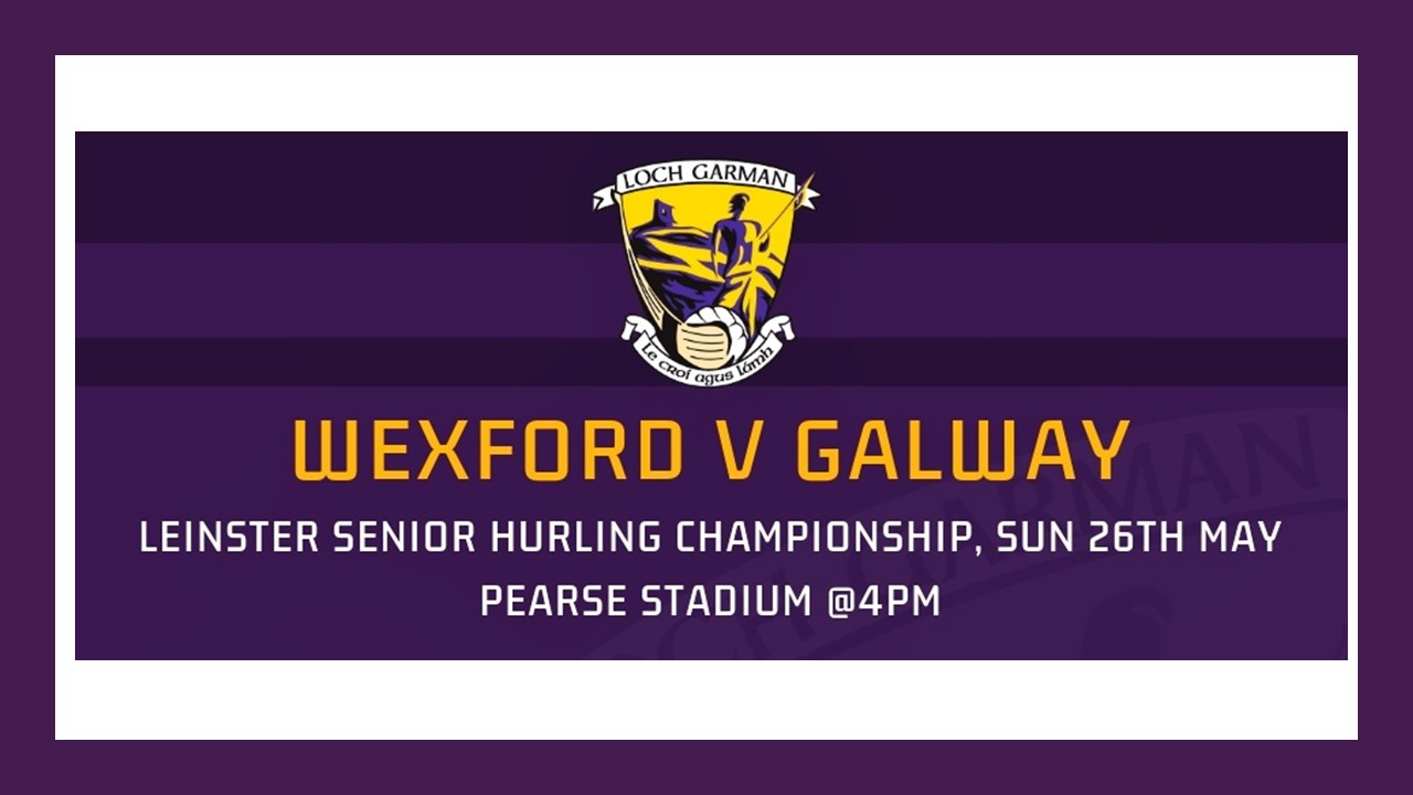 Wexford Senior Hurling Team named to Face Galway in Salthill