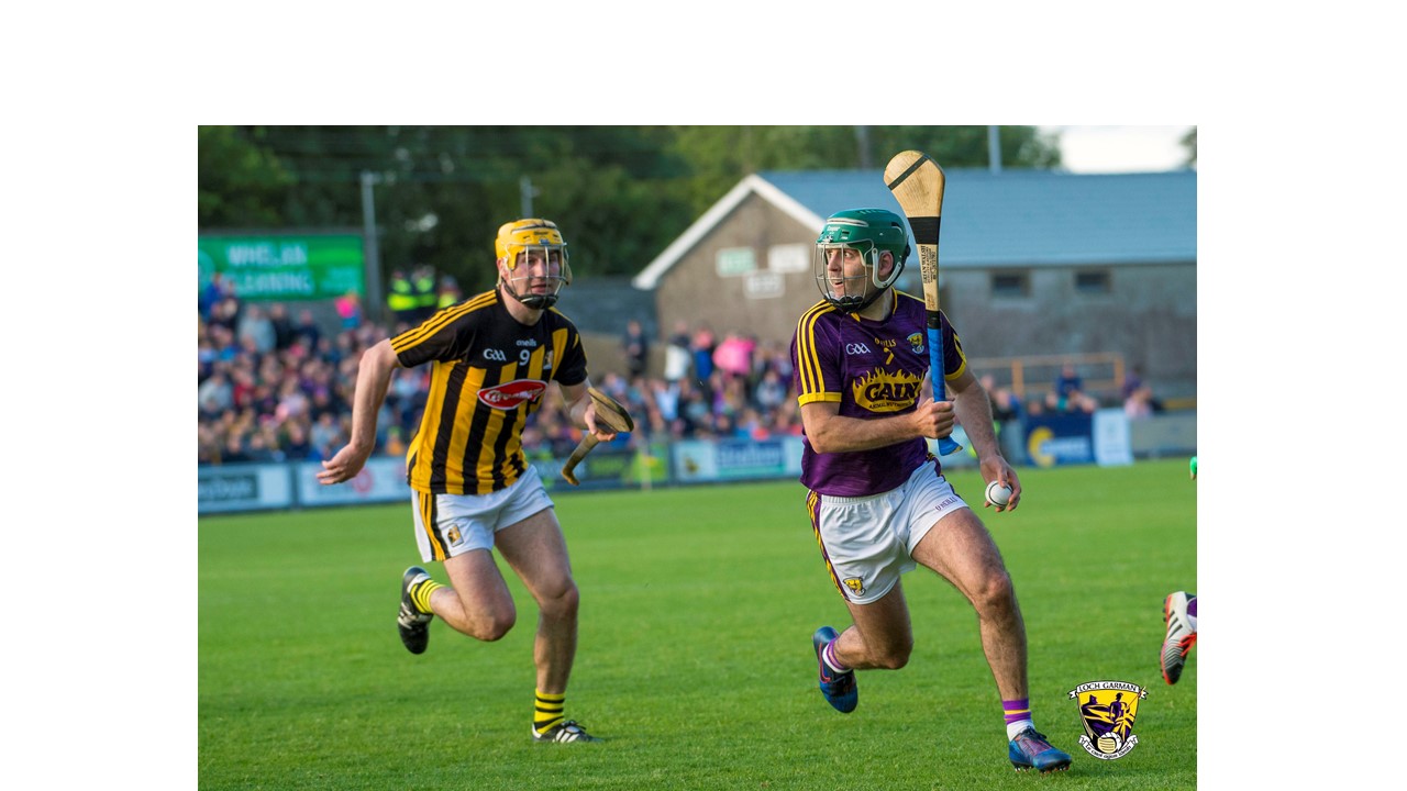 Crunching the Wexford and Kilkenny numbers:  making championship cut   By Ronan Fagan