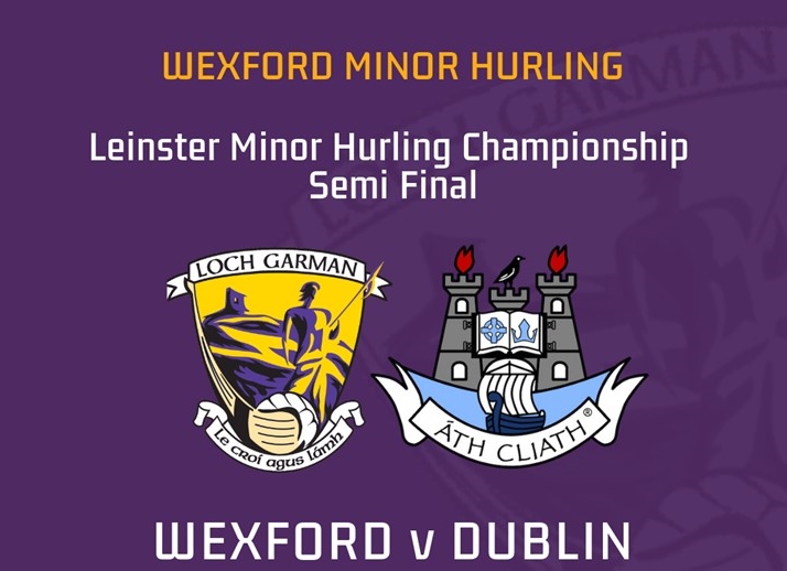 Wexford Minor Hurlers 2nd outing against Dublin this Saturday for a shot at a Leinster Final