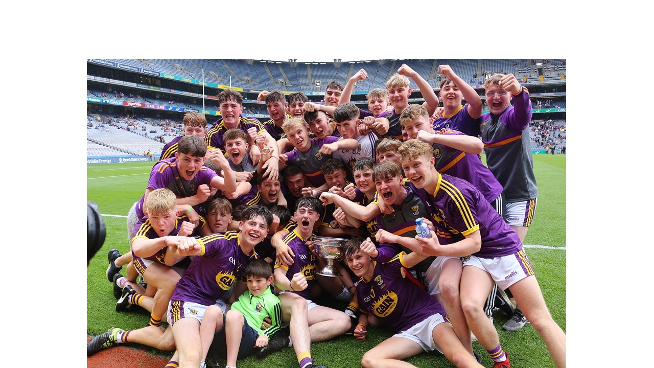 Minors end 34-year wait for Leinster crown By Ronan Fagan