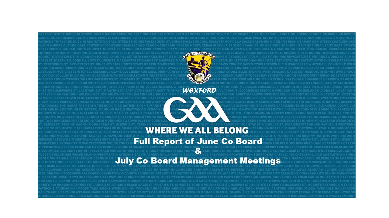 Full report : Wexford GAA Co Board June and July Co Board Management Meetings