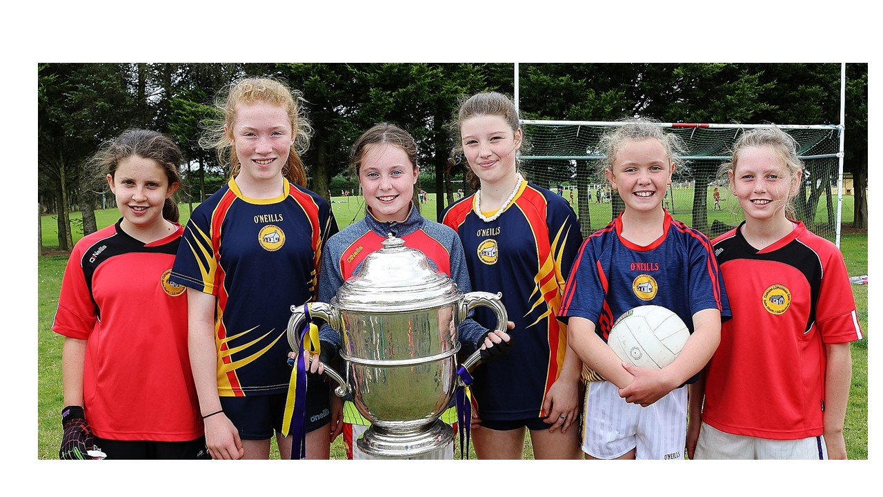 Six weeks of Kellogg’s Cúl Camps comes to an end with a record of over 5,500 Wexford kids enjoying the summer GAA fun