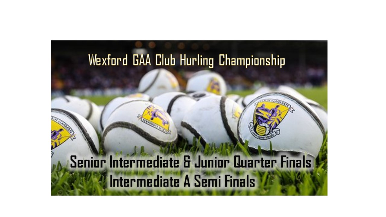 Everything On The Line This Weekend in A Action Packed Weekend Of Hurling, Pettitts Senior, Court Yard Ferns Internediate, Top Oil Intermediate A & Permanent tsb Junior & Junior A