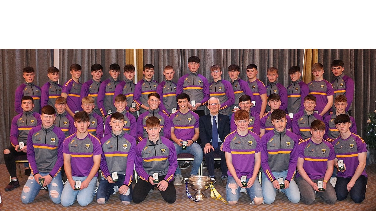 A medal to Treasure 2019 Wexford Leinster Minor Hurling Champions