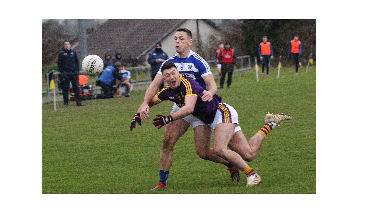 Injury Time Point denies a Wexford Footballers win against Laois in O’Byrne Cup Rd 2