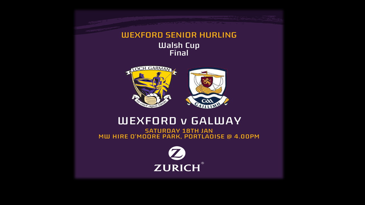 4pm Throw in This Saturday 18th January for Walsh Cup Hurling Final Wexford against Galway