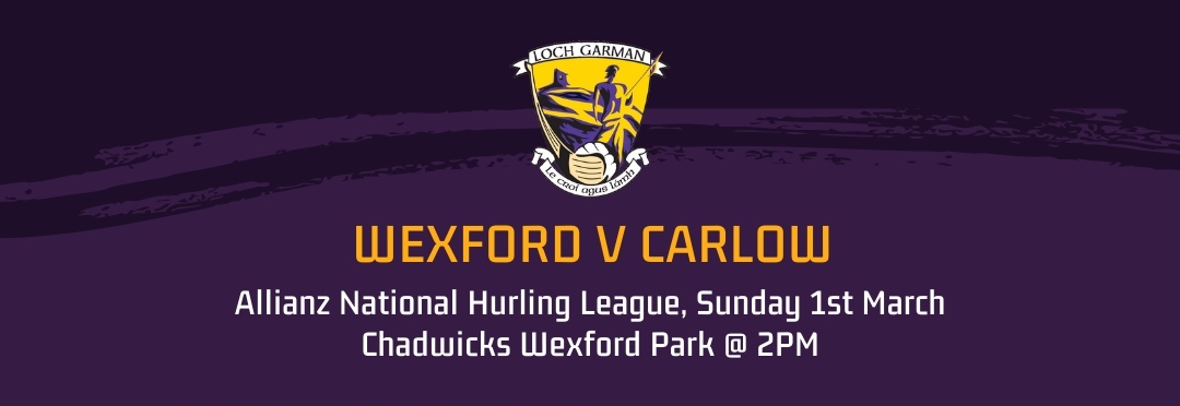 Wexford Senior Hurlers starting XV for Allianz league Group B, Round 5 clash against Carlow on Sunday