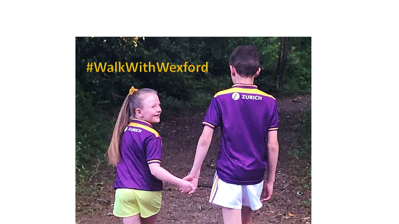 Wexford GAA Wellness programme comes to an end with a County proud of their Colours #WalkWithWexford