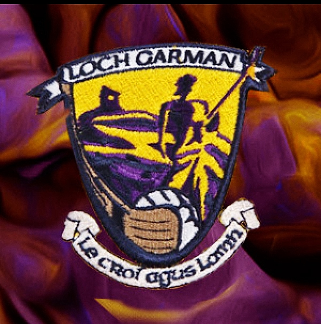 Update to Clubs and Patrons Regarding Wexford GAA Club Championship Fixtures