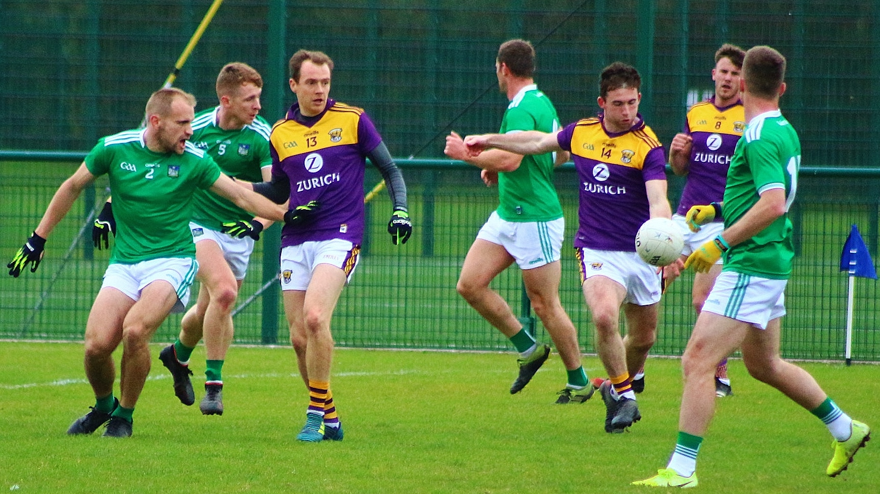 Wexford Footballers hold on to promotion hopes