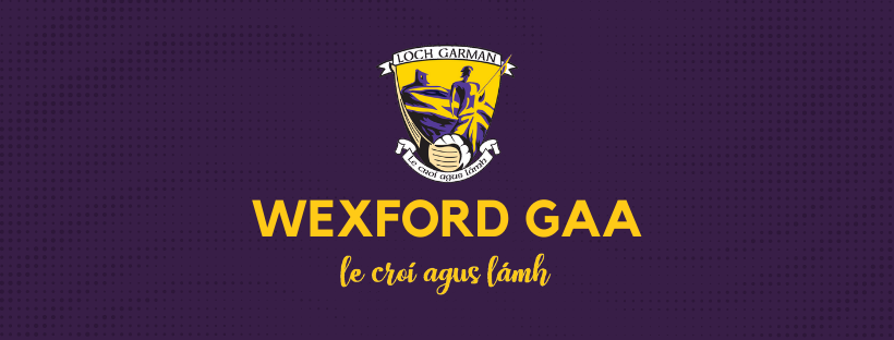 Cumann Lúthchleas Gael is now seeking applications for the role of Operations Manager for Wexford GAA.