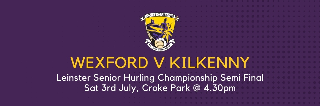 Wexford Senior Hurling team to face Kilkenny tomorrow for a Leinster Final spot