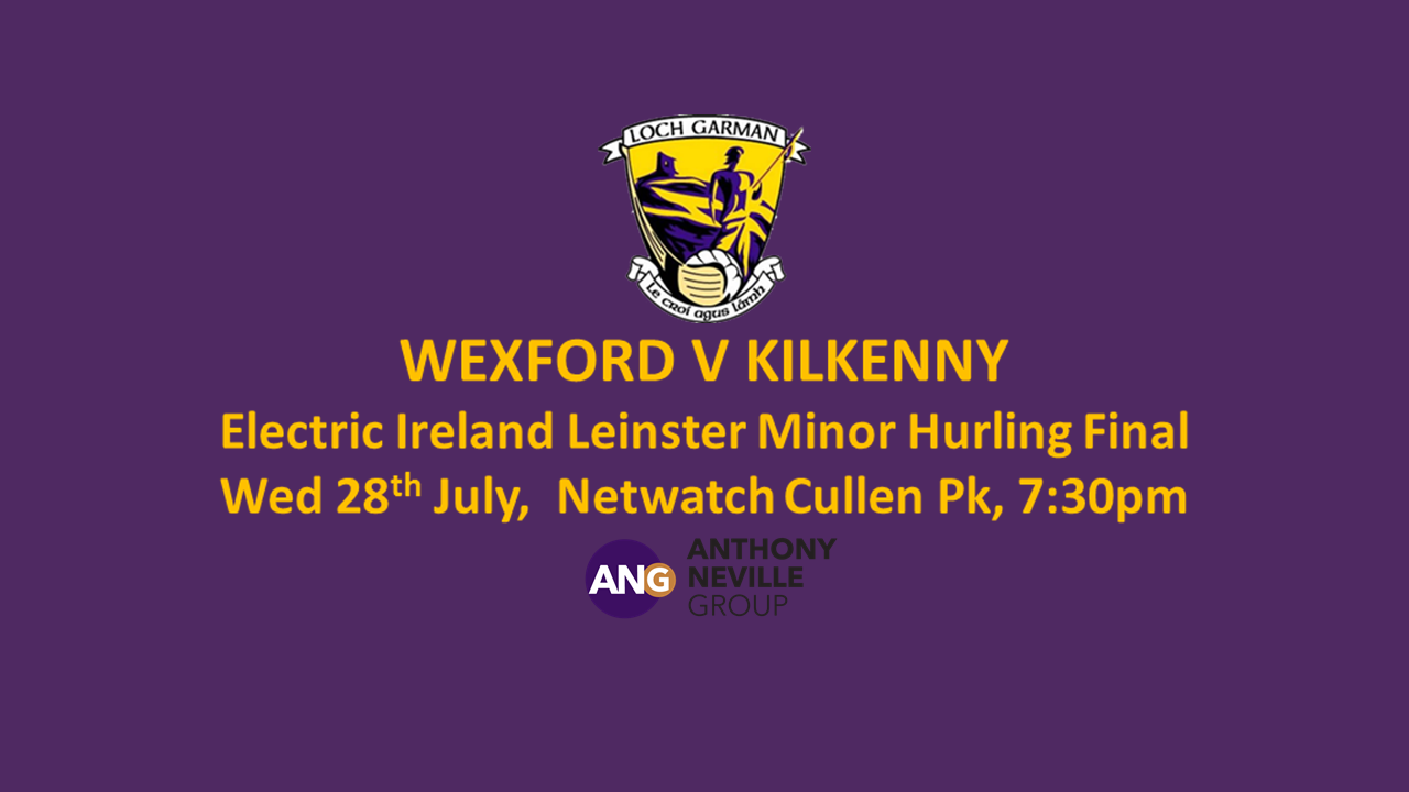 Wexford Minor Hurling Team Named to Face Kilkenny in Electric Ireland Leinster Minor Hurling Final