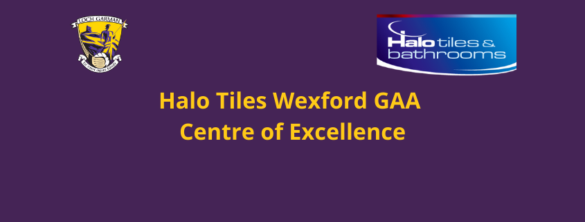 Halo Tiles Wexford GAA Centre of Excellence Naming Rights Renewed