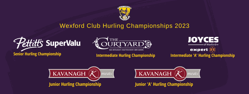 Wexford Club Hurling Championships 2023