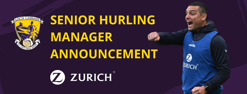 Wexford Senior Hurling Manager