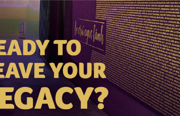 Legacy Wall Fundraiser launched as Wexford GAA to complete their €5 million vision